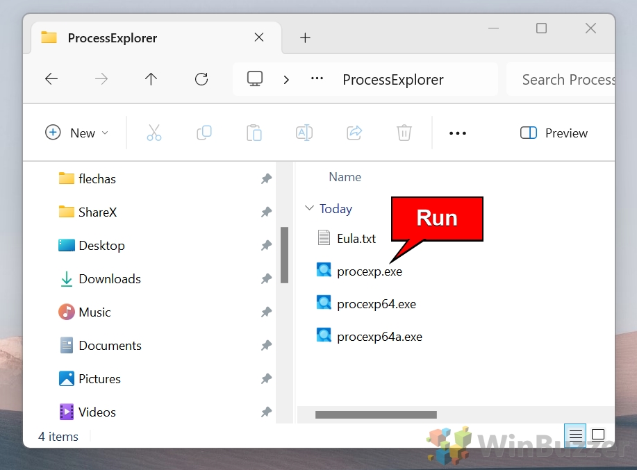 01.1 Windows 11 - ProcessExplorer Folder - Run Procexp.exe