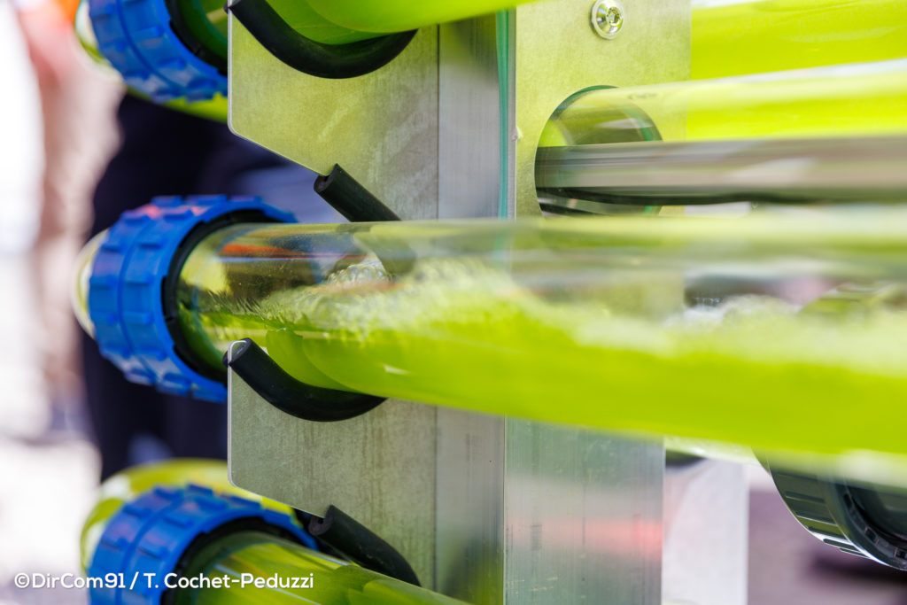 Green energy for data centers: utopian fantasy or the next frontier?