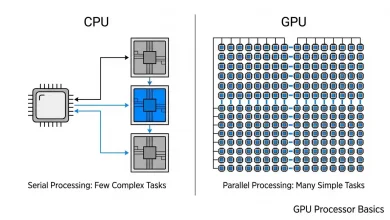 GPU